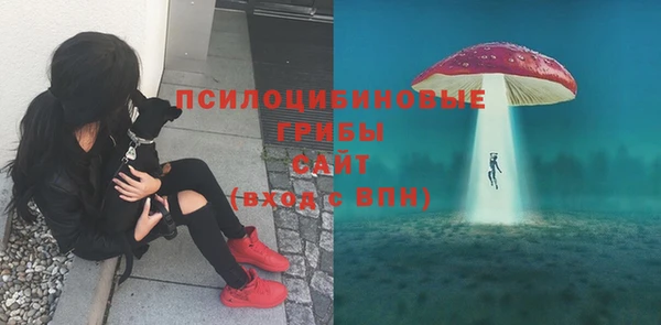 mdpv Богданович
