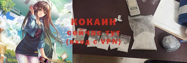 mdpv Богданович