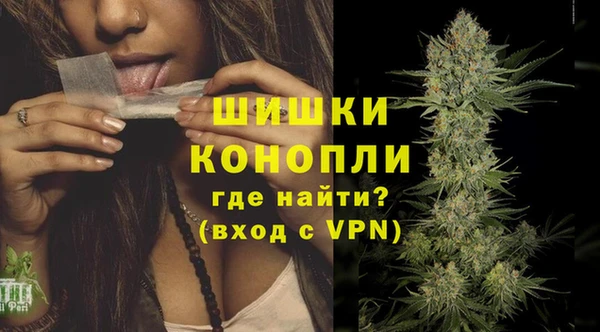 mdpv Богданович