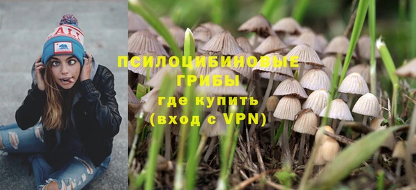 mdpv Богданович