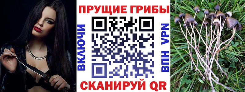 Галлюциногенные грибы ЛСД  продажа наркотиков  MEGA зеркало  Грозный 